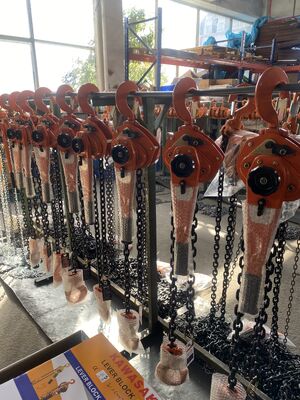 1.5m Manual de palanca de la cadena de elevación de 1 tonelada de capacidad de trabajo pesado de mano de tirón de la herramienta de elevación para el aparejo industrial